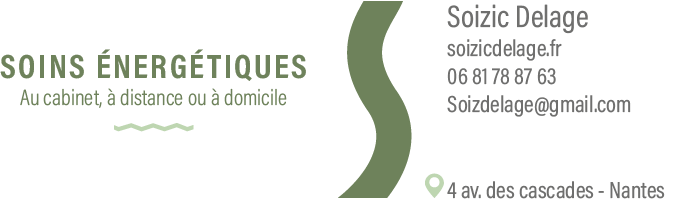 Logo Soizic Delage